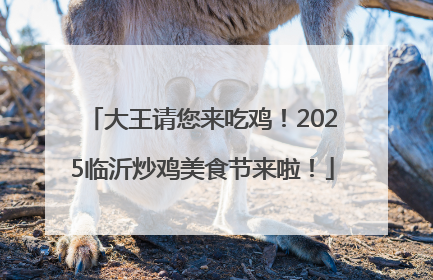 大王请您来吃鸡！2025临沂炒鸡美食节来啦！