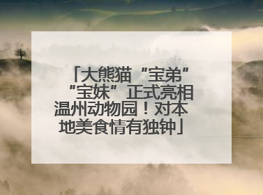 大熊猫“宝弟”“宝妹”正式亮相温州动物园！对本地美食情有独钟