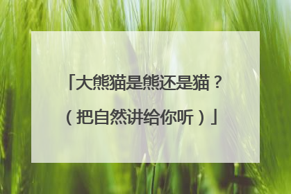 大熊猫是熊还是猫？（把自然讲给你听）
