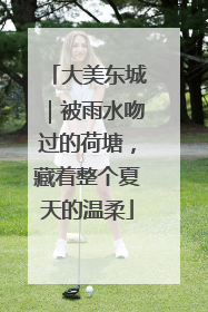 大美东城｜被雨水吻过的荷塘，藏着整个夏天的温柔