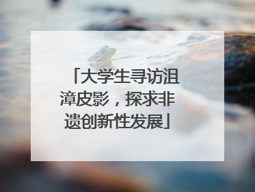大学生寻访沮漳皮影，探求非遗创新性发展
