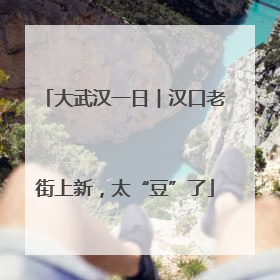 大武汉一日︱汉口老街上新，太“豆”了
