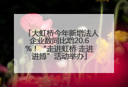 大虹桥今年新增法人企业数同比增20.6%！“走进虹桥 走进进博”活动举办