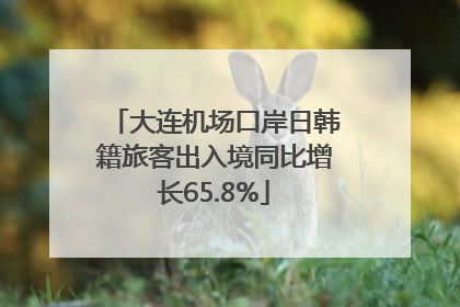 大连机场口岸日韩籍旅客出入境同比增长65.8%