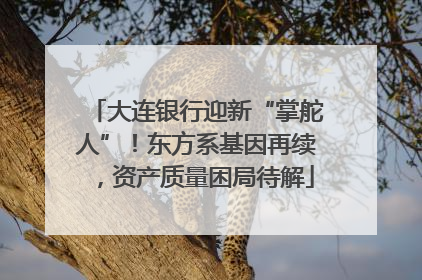 大连银行迎新“掌舵人”！东方系基因再续，资产质量困局待解