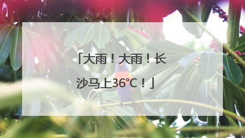 大雨！大雨！长沙马上36℃！