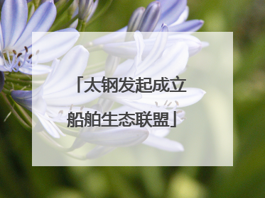 太钢发起成立船舶生态联盟