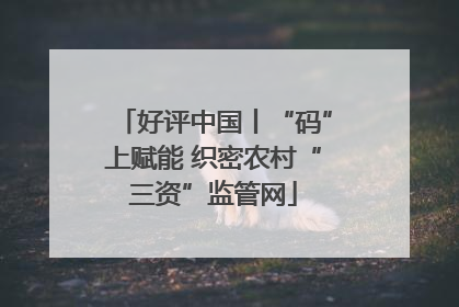 好评中国丨“码”上赋能 织密农村“三资”监管网