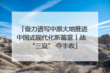 奋力谱写中原大地推进中国式现代化新篇章丨战“三夏” 夺丰收