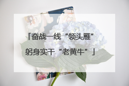 奋战一线“领头雁” 躬身实干“老黄牛”