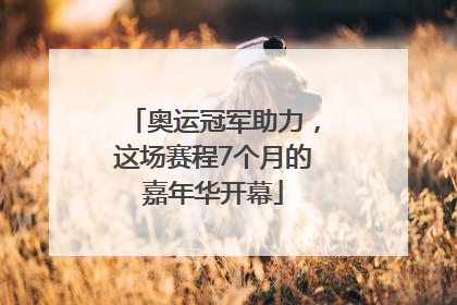 奥运冠军助力，这场赛程7个月的嘉年华开幕