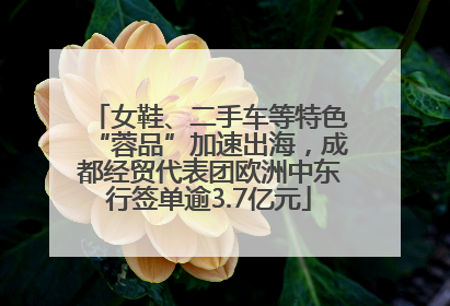 女鞋、二手车等特色“蓉品”加速出海，成都经贸代表团欧洲中东行签单逾3.7亿元