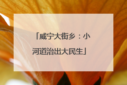 威宁大街乡：小河道治出大民生