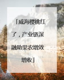 威海樱桃红了，产业链深融助果农增效增收