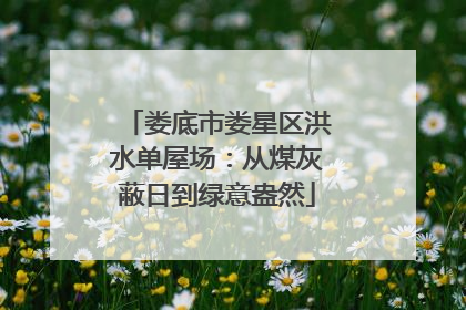 娄底市娄星区洪水单屋场：从煤灰蔽日到绿意盎然