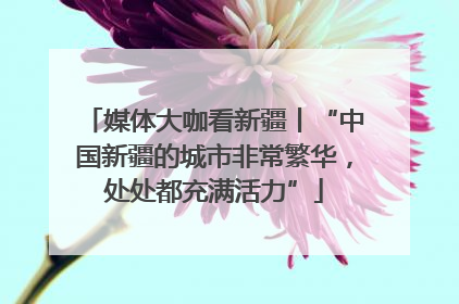 媒体大咖看新疆丨“中国新疆的城市非常繁华，处处都充满活力”