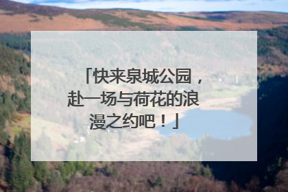 快来泉城公园，赴一场与荷花的浪漫之约吧！