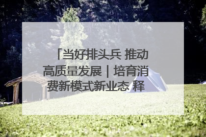 当好排头兵 推动高质量发展｜培育消费新模式新业态 释放经济增长新动能