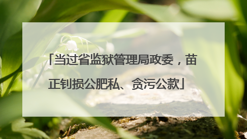 当过省监狱管理局政委，苗正钊损公肥私、贪污公款