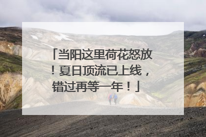 当阳这里荷花怒放！夏日顶流已上线，错过再等一年！