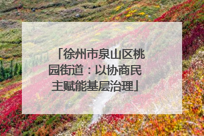 徐州市泉山区桃园街道：以协商民主赋能基层治理