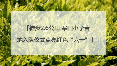 徒步2.6公里 军山小学营地入队仪式点亮红色“六一”