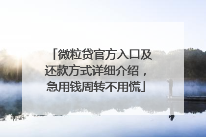 微粒贷官方入口及还款方式详细介绍，急用钱周转不用慌