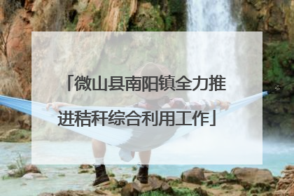 微山县南阳镇全力推进秸秆综合利用工作