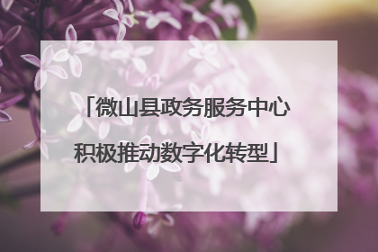 微山县政务服务中心积极推动数字化转型