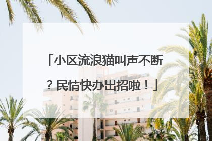 小区流浪猫叫声不断？民情快办出招啦！