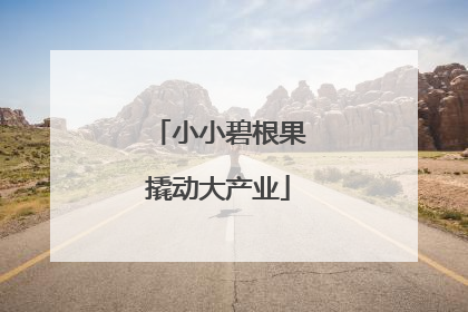 小小碧根果撬动大产业