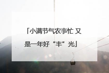 小满节气农事忙 又是一年好“丰”光
