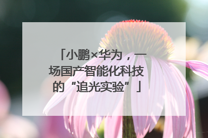 小鹏×华为，一场国产智能化科技的“追光实验”