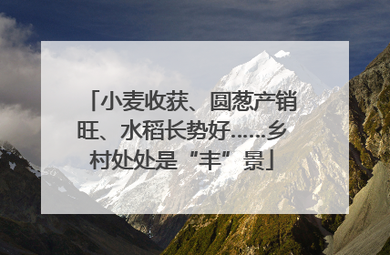 小麦收获、圆葱产销旺、水稻长势好……乡村处处是“丰”景