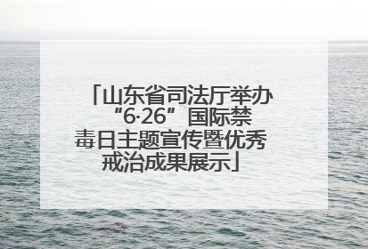 山东省司法厅举办“6·26”国际禁毒日主题宣传暨优秀戒治成果展示