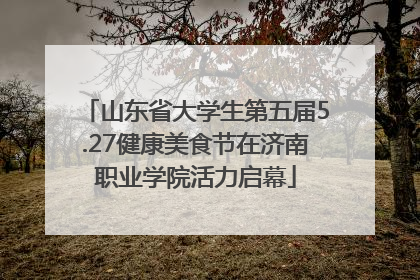 山东省大学生第五届5.27健康美食节在济南职业学院活力启幕