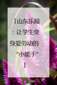 山东乐陵：让学生变身爱劳动的“小能手”