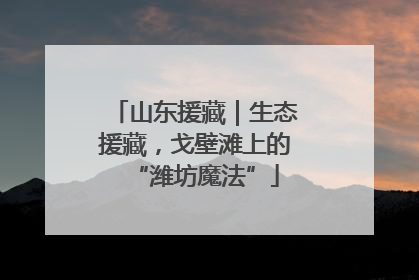 山东援藏｜生态援藏，戈壁滩上的“潍坊魔法”