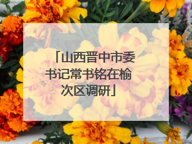 山西晋中市委书记常书铭在榆次区调研