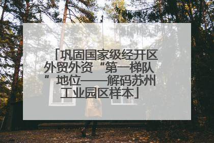巩固国家级经开区外贸外资“第一梯队”地位——解码苏州工业园区样本
