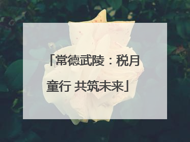 常德武陵：税月童行 共筑未来