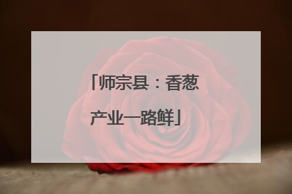 师宗县：香葱产业一路鲜