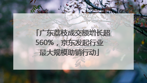 广东荔枝成交额增长超560%，京东发起行业最大规模助销行动