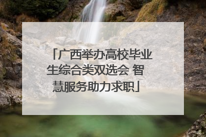 广西举办高校毕业生综合类双选会 智慧服务助力求职