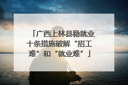 广西上林县稳就业十条措施破解“招工难”和“就业难”