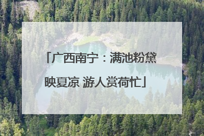 广西南宁：满池粉黛映夏凉 游人赏荷忙