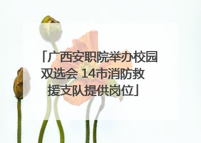 广西安职院举办校园双选会 14市消防救援支队提供岗位