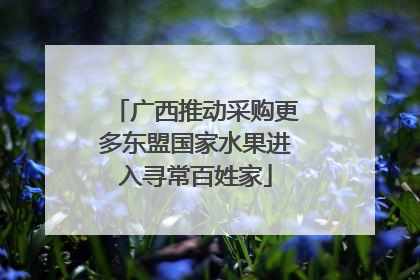 广西推动采购更多东盟国家水果进入寻常百姓家
