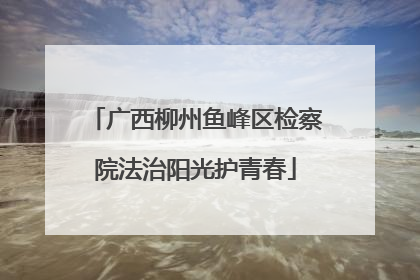 广西柳州鱼峰区检察院法治阳光护青春