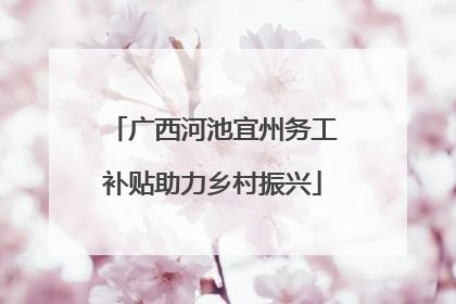广西河池宜州务工补贴助力乡村振兴
